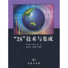 3S技术与集成