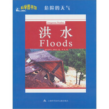 危险的天气:洪水