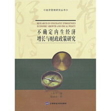 不确定内生经济增长与财政政策研究