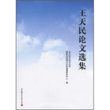 王天民论文选集