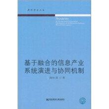 基于融合的信息产业系统演进与协同机制