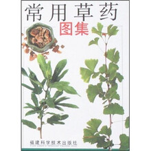 常用草药图集