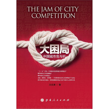 大困局：中国城市危与机
