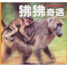 狒狒奇遇