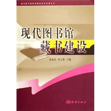 现代图书馆藏书建设