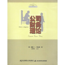 公司财务理论