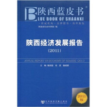 陕西经济发展报告（2011）