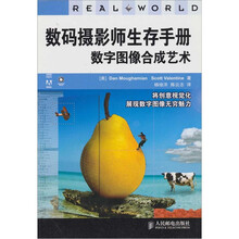 数字图像合成艺术：数码摄影师生存手册