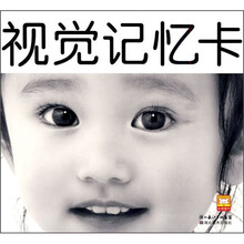 视觉记忆卡：黑白卡（1-3岁的小宝宝）（附大师音乐CD光盘）