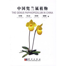 中国兜兰属植物