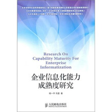 企业信息化能力成熟度研究