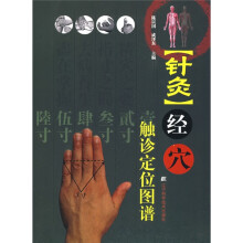 针灸经穴触诊定位图谱