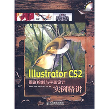 Illustrator CS2图形绘制与平面设计实例精讲(附光盘)