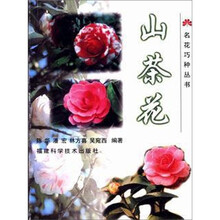 山茶花