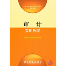 21世纪高等院校财经类专业实训教材：审计实训教程