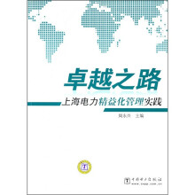 卓越之路:上海电力精益化管理实践