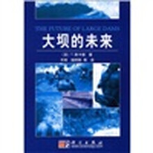大坝的未来