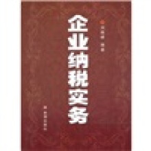 企业纳税实务