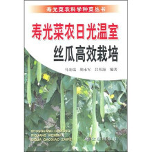 寿光菜农日光温室丝瓜高效栽培