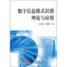 数字信息模式识别理论与应用