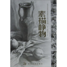 美术高考基础教学精品范画：素描静物