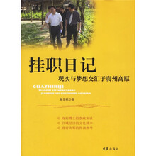 挂职日记：现实与梦想交汇于贵州高原