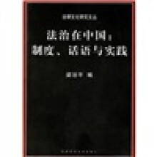 法治在中国：制度、话语与实践