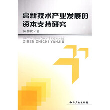 高新技术产业发展的资本支持研究