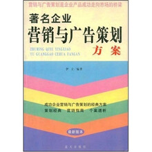 著名企业营销与广告策划方案