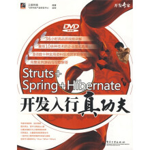 开发专家:Struts+Spring+Hibernate开发入行真功夫