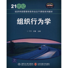 21世纪经济学类管理学类专业主干课程系列教材：组织行为学