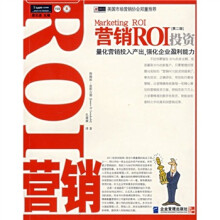 营销ROI投资（第2版）