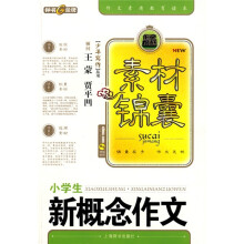 少年写作丛书:小学生新概念作文