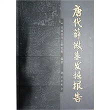 唐代薛儆墓发掘报告