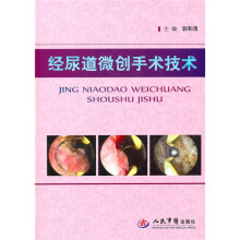 经尿道微创手术技术（附DVD光盘1张）