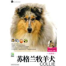 苏格兰牧羊犬（附DVD光盘1张）