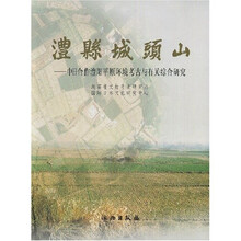 澧县城头山-中日合作澧阳平原环境考古与有关综合研究