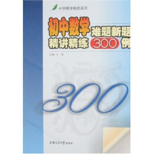 中学精讲精练系列：初中数学难题新题精讲精练300例