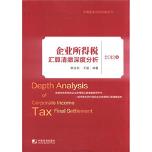 中翰税务风险控制丛书：企业所得税汇算清缴深度分析（2012版）