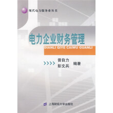 现代电力服务业丛书·上海市高等学校本科教育高地建设教材:电力企业财务管理