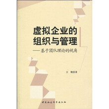 虚拟企业的组织与管理：基于团队理论的视角