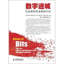 数字迷城：信息爆炸改变你的生活
