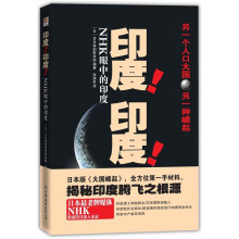 印度!印度!NHK眼中的印度