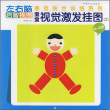 左右脑感觉统合训练系列：宝宝视觉激发挂图2（0-3岁）