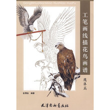 工笔画线描花鸟谱：鹰隼篇