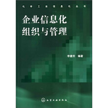 企业信息化组织与管理