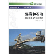 能源与未来丛书·煤炭和石油:廉价能源与环境的博弈