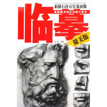 基础美术起步训练大范本：临摹素描石膏五官及面像
