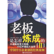 老板是怎样炼成的2