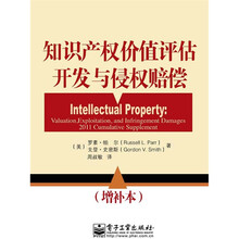 知识产权价值评估、开发与侵权赔偿（增补本）